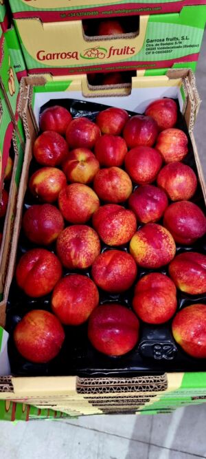 Nectarina alveolo 6kg Garrosa
