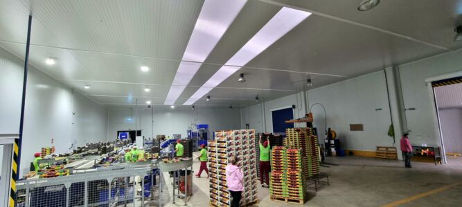 Nuestras instalaciones