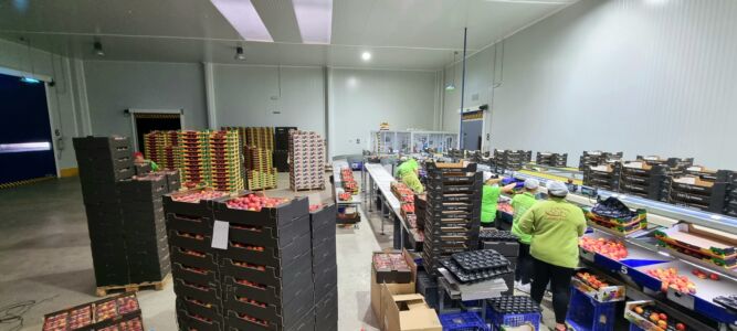 Nuestras instalaciones