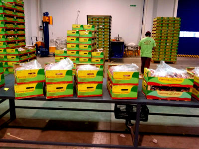 Nuestra primera marca Garrosa en sus inicios.