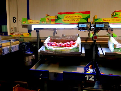 Pesaje de nuestras mercancias