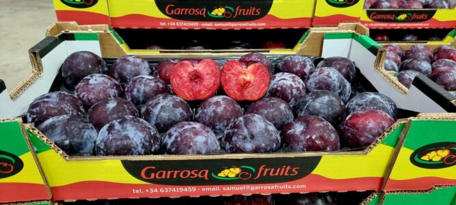 En el corazón de Garrosa