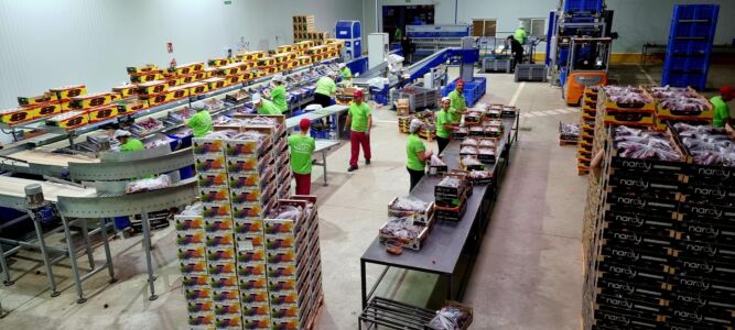 Nuestras instalaciones