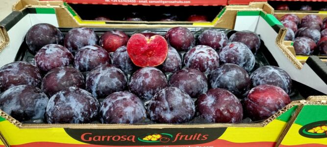 En el corazón de Garrosa