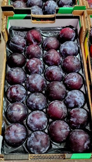 Ciruela negra alveolo 4kg Garrosa