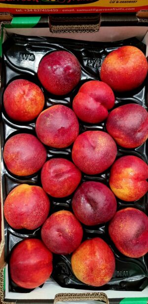 Nectarina extra alveolo 4kg