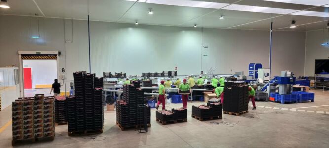 Nuestras instalaciones