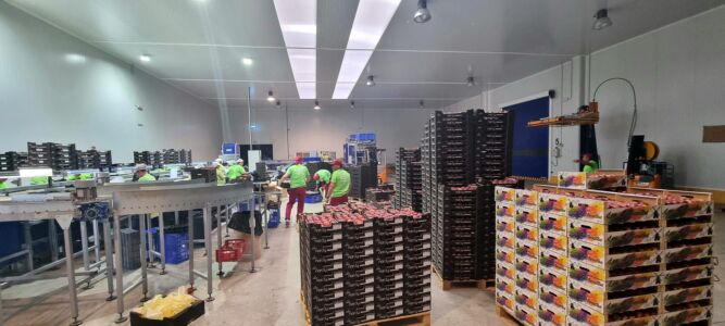 Nuestras instalaciones