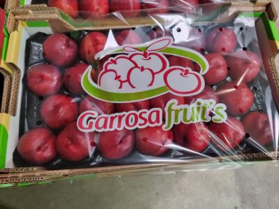 Nectarina alveolo 4kg Garrosa con cubre