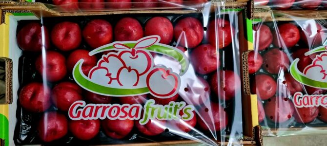 Nectarina alveolo 4kg Garrosa con cubre