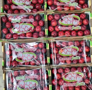 Nectarina alveolo 4kg Garrosa con cubre