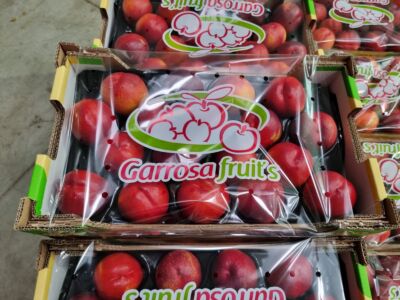 Nectarina alveolo 4kg Garrosa con cubre