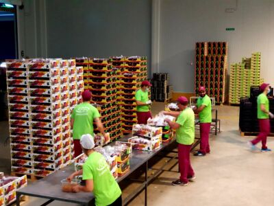 Preparando mercancía para ultramar