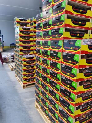 La marca estrella de la empresa