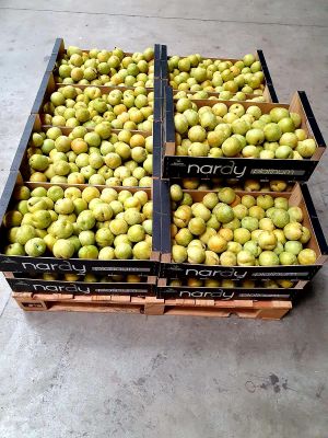 Ciruela Amarilla a granel Nardy
