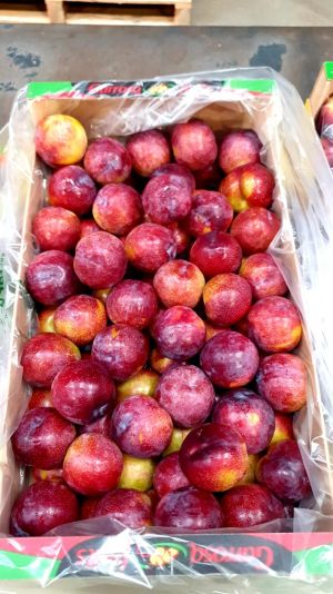 Ciruela roja marca Garrosa