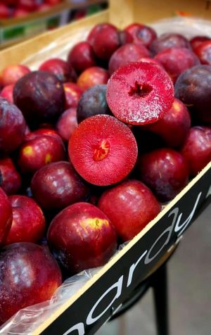 Ciruela Black Splendor en su destino 