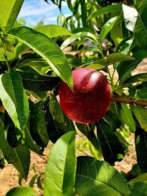 PHOTO-2021-08-04-11-49-15 2