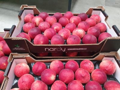 PHOTO-2021-08-04-11-49-17