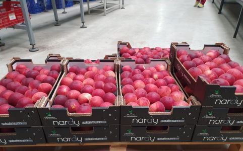 PHOTO-2021-08-04-11-49-17 2