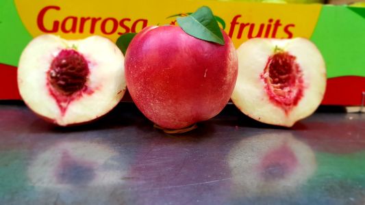 La marca por excelencia 