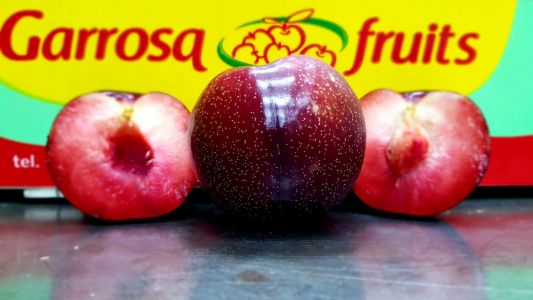 Líderes en ciruela extremeña