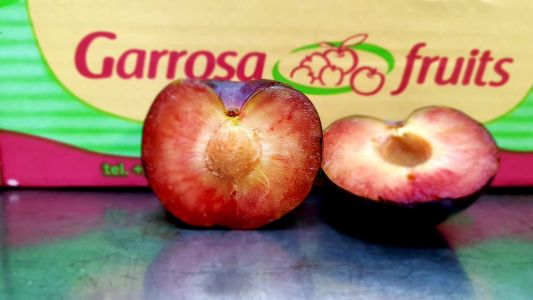 PHOTO-2021-08-04-11-49-25