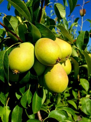 PHOTO-2021-08-04-11-49-26