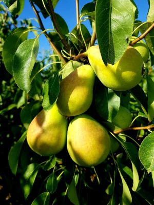 PHOTO-2021-08-04-11-49-27