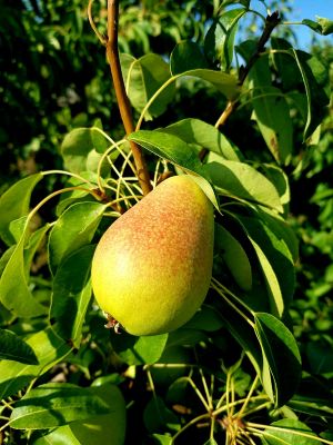 PHOTO-2021-08-04-11-49-28