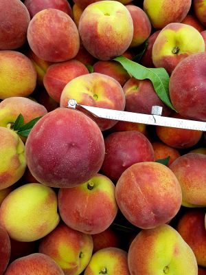 PHOTO-2021-08-04-11-49-36