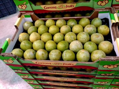 PHOTO-2021-08-04-11-49-37