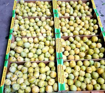 PHOTO-2021-08-04-11-49-39