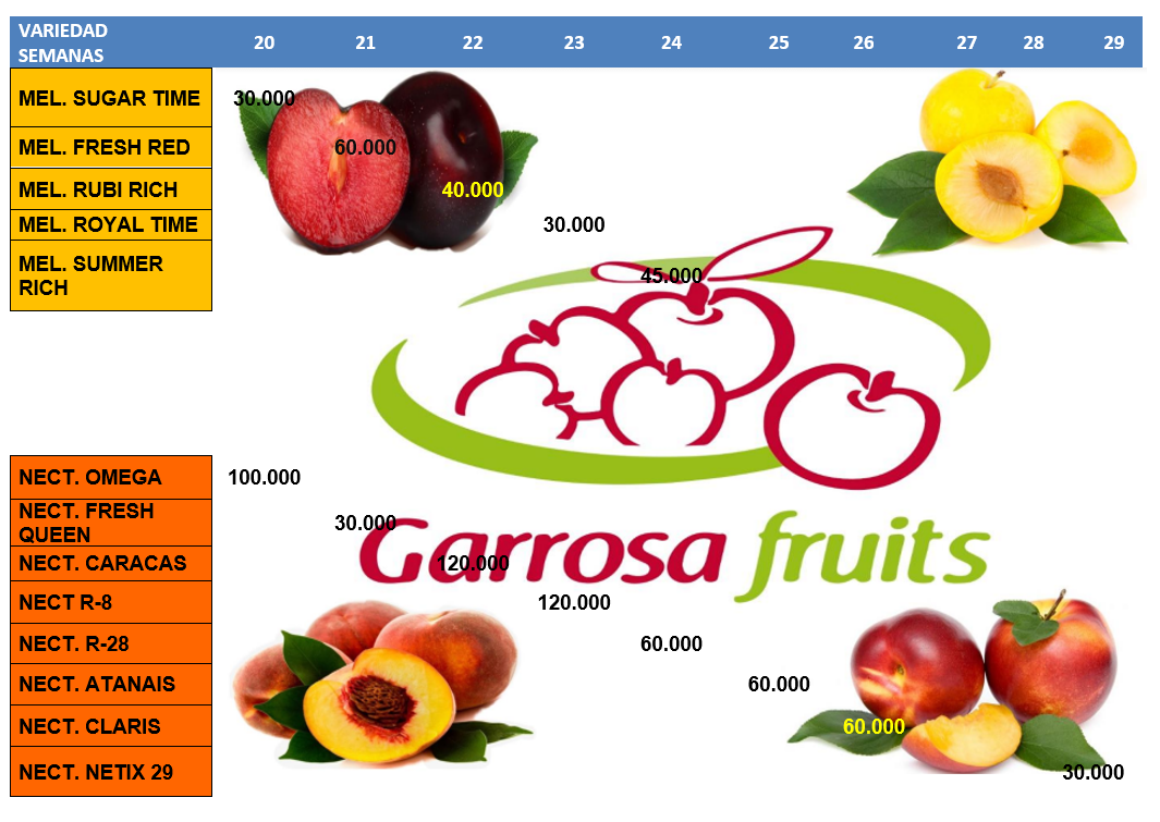 Calendario varietal de fruta de hueso con melocotón, nectarina y ciruela 