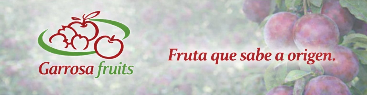 Banner Portada Garrosa Fruits