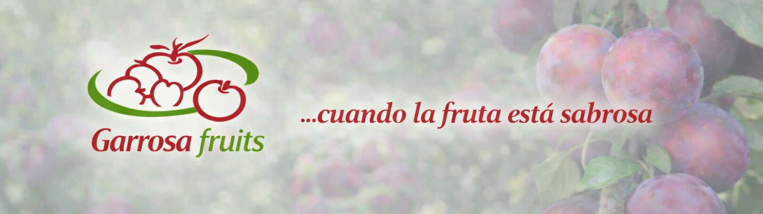 Banner Portada Garrosa Fruits