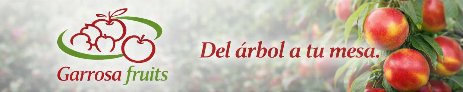 Banner inicio Garrosa Fruits